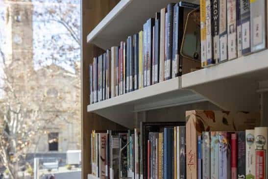 Detalle de estanterías con libros y DVD, con vista al exterior a través de ventana