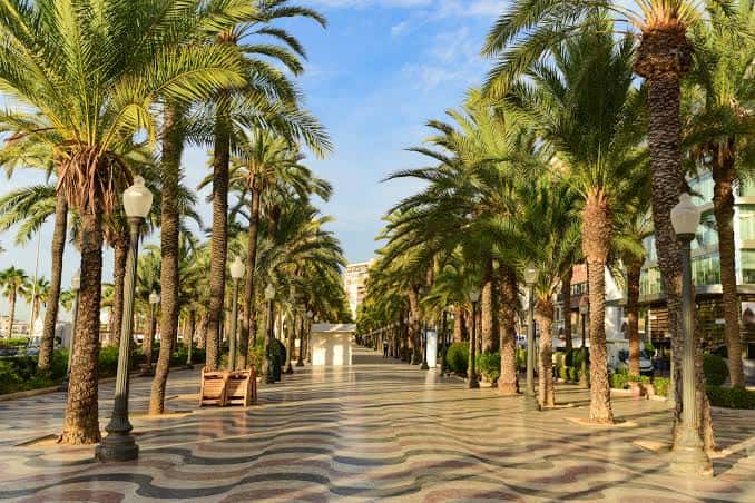 Vista panorámica de la Explanada de España con palmeras y el Monte Benacantil al fondo
