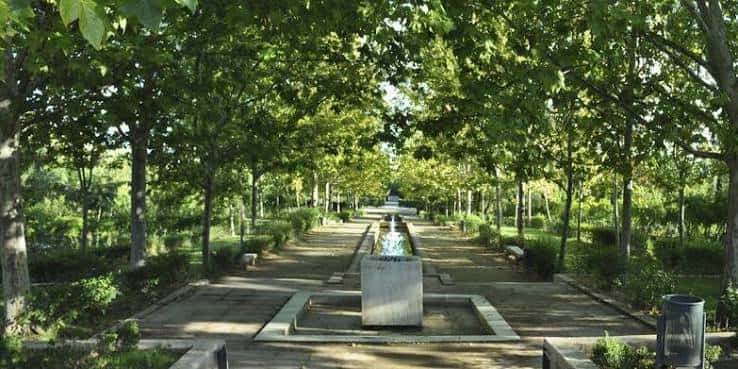 Paseo arbolado con fuente central en el Parque de las Tres Culturas