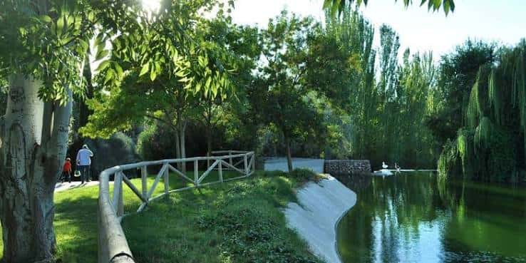 Sendero junto al lago con puente de madera y vegetación densa