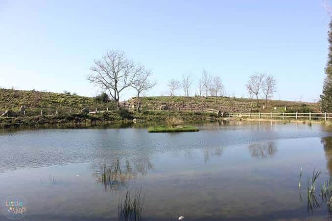 Lagoa do Maruxento con colinas verdes y cielo despejado
