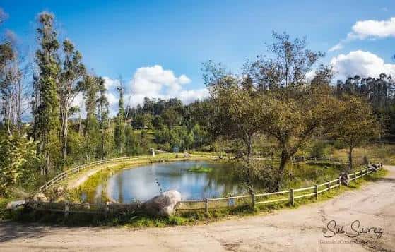 Paisaje del parque con sendero, laguna y árboles bajo el sol