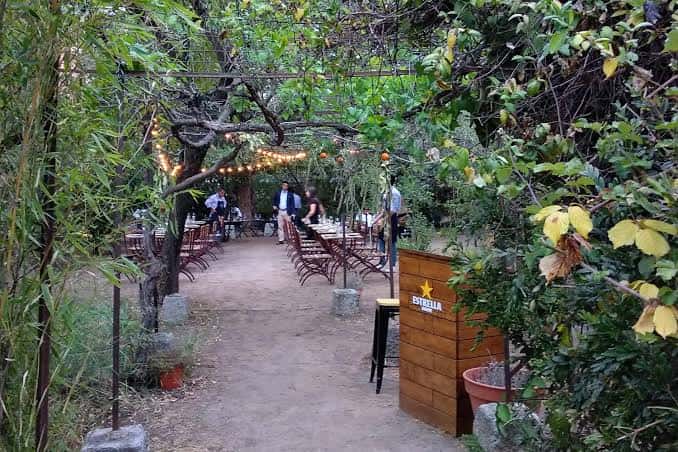 Cena al aire libre con mesas y sillas entre olivos y luces decorativas