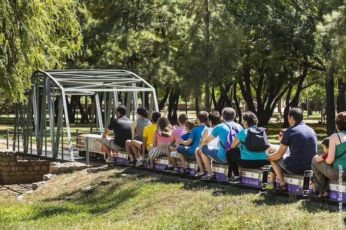 Familias disfrutando del tren turístico en el parque