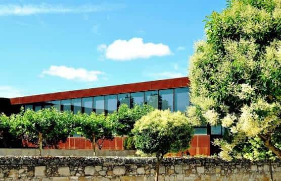Fachada moderna de la fundación con grandes ventanales y jardines exteriores