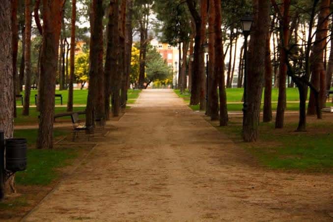 Sendero arbolado en el Parque del Temple, ideal para paseos y eventos al aire libre