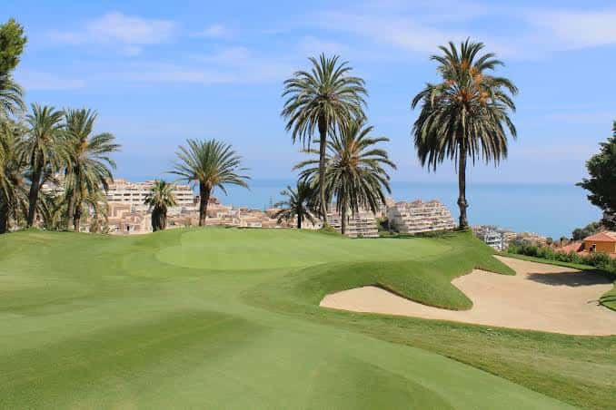 Green del campo de golf rodeado de palmeras con vista al mar y edificios costeros al fondo