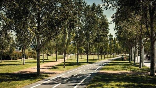 Avenida arbolada en la Rambla del Celler con carril bici
