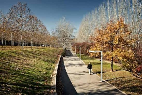 Sendero peatonal en la Rambla del Celler con árboles de otoño