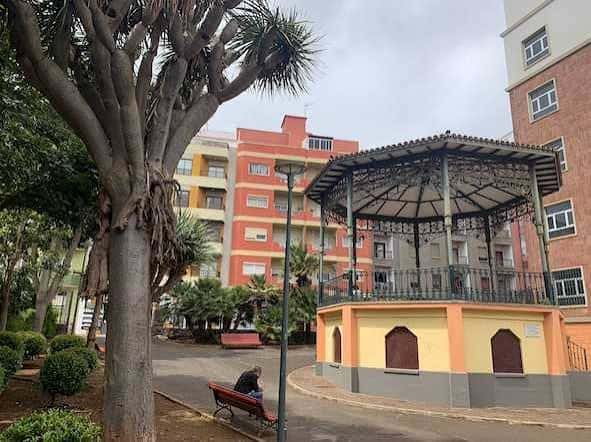 Vista general del parque con el kiosco y árboles de drago en primer plano