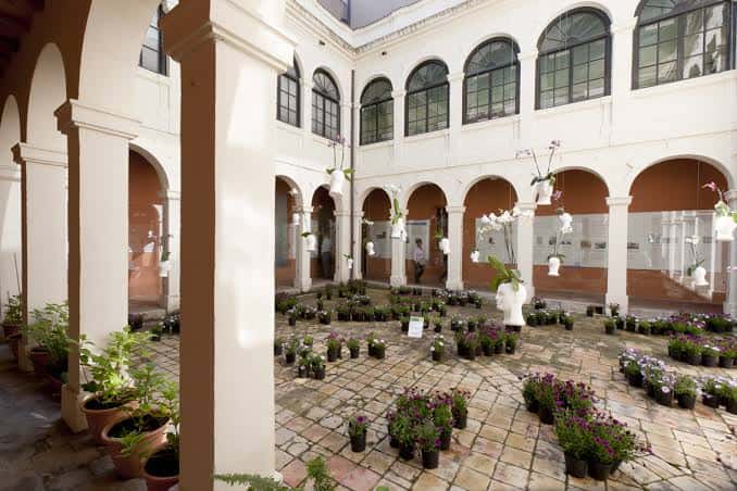 Patio interior del museo con arcos, columnas y exposición de plantas