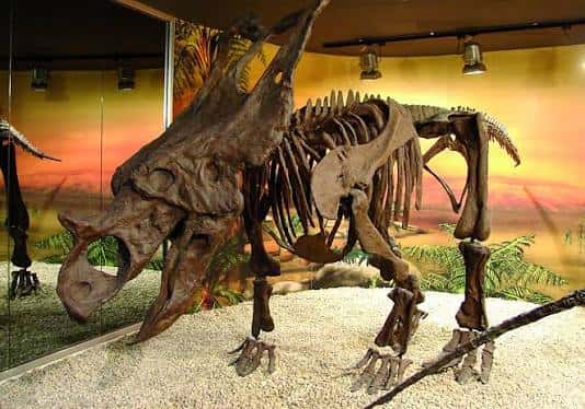 Esqueleto de dinosaurio expuesto en el interior del museo