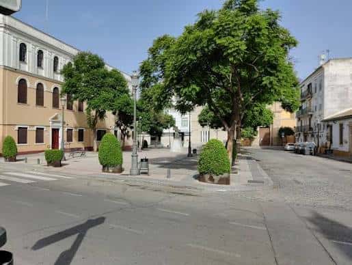 Vista general de la Plaza de la Merced con árboles y edificios históricos