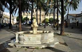 Fuente central de la Plaza de la Merced rodeada de palmeras
