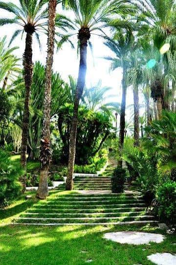 Escalinata de piedra rodeada de palmeras en el jardín del Hort de Baix