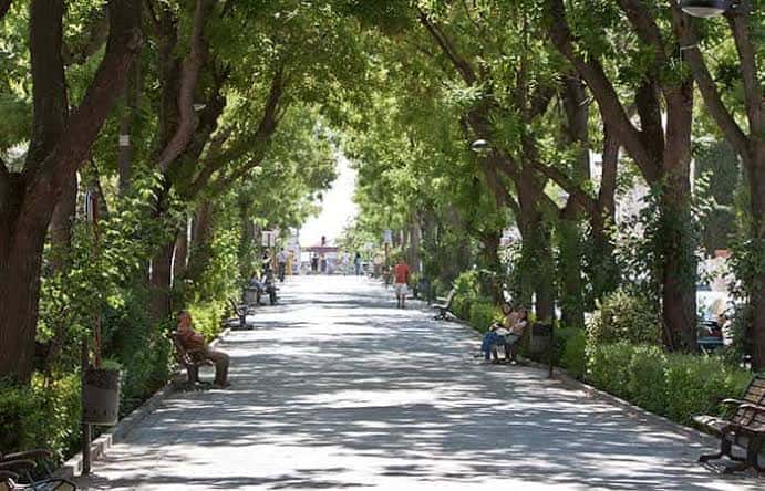 Paseo arbolado con bancos y personas disfrutando del parque