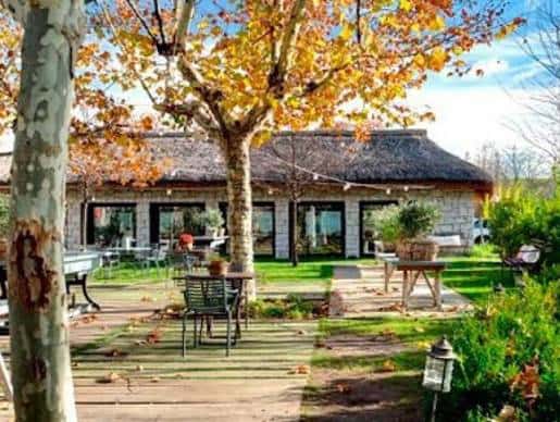Terraza exterior de un restaurante con árboles de hojas otoñales y mesas al aire libre