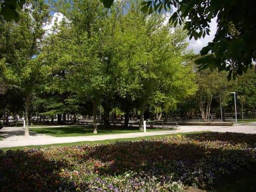 Área arbolada del parque con senderos y bancos