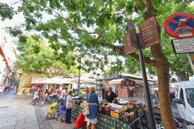 Mercado al aire libre en la Plaza Gran bajo árboles frondosos