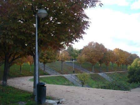 Sendero con escaleras y árboles de otoño en el parque