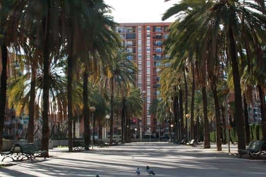 Paseo central de la plaza con palmeras y bancos