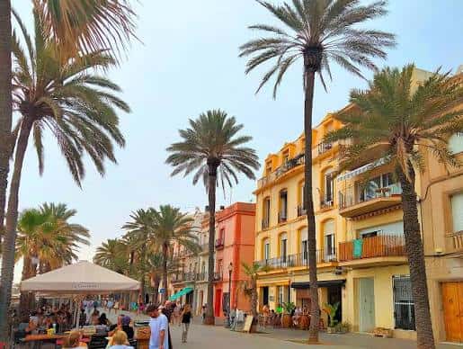 Fachadas coloridas y palmeras en el Passeig de la Rambla con ambiente urbano