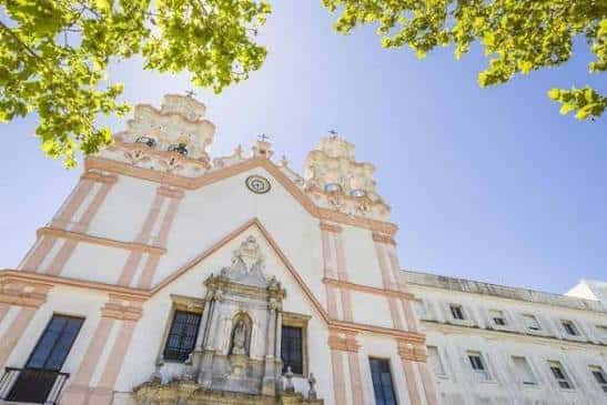 Perspectiva elevada de la fachada de la Iglesia del Carmen con ramas de árbol en primer plano