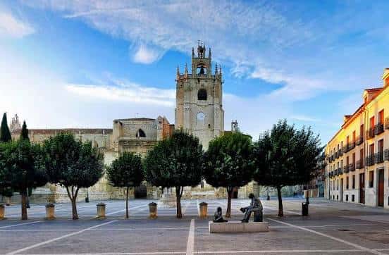 Vista panorámica de la Catedral de Palencia con el campanario y árboles en primer plano