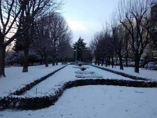 Paseo de la Condesa de Sagasta cubierto de nieve, mostrando la alineación de árboles y el diseño del jardín en invierno