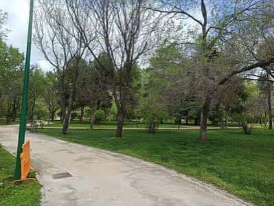 Sendero peatonal con césped y árboles en los Jardines de Federica Montseny