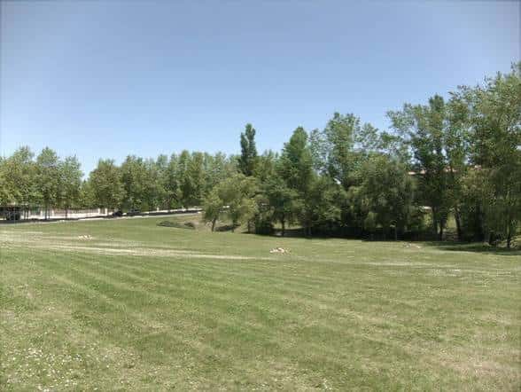Vista panorámica de las Campas de Armentia con amplios prados y árboles bajo cielo despejado