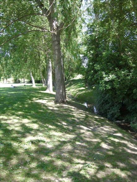 Sendero arbolado junto a un pequeño arroyo en las Campas de Armentia