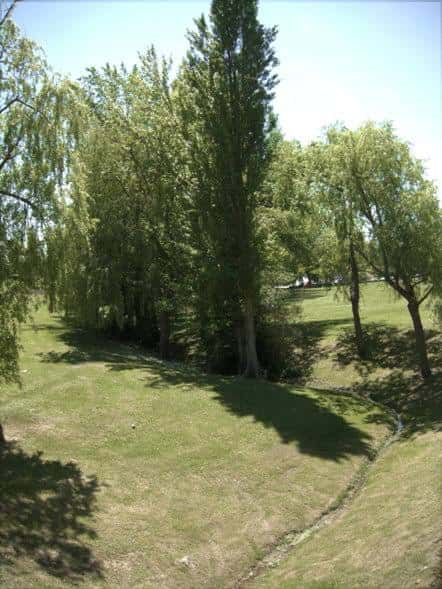 Área verde con árboles frondosos y senderos naturales en las Campas de Armentia