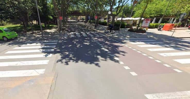 Cruce peatonal y carril bici en la Avenida de la Pineda con árboles frondosos