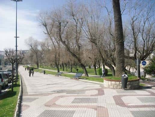 Camino pavimentado con diseño geométrico y árboles en el parque
