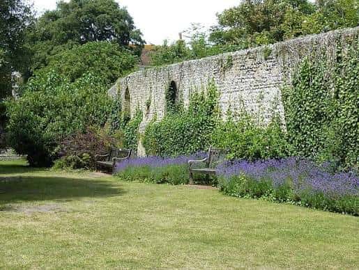 Jardín con banco junto a una pared de piedra cubierta de hiedra y flores moradas
