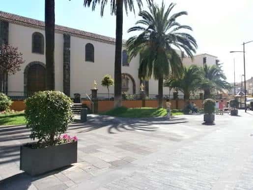 Plaza del Doctor Olivera con palmeras y bancos en un día soleado