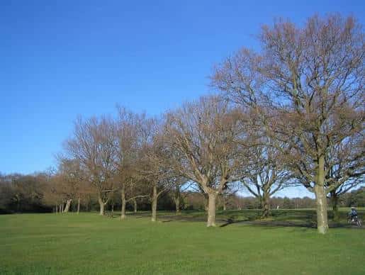 Vista del Southampton Common con árboles y césped bajo un cielo azul despejado