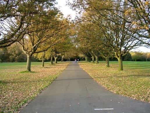 Camino central del Southampton Common flanqueado por árboles con follaje otoñal