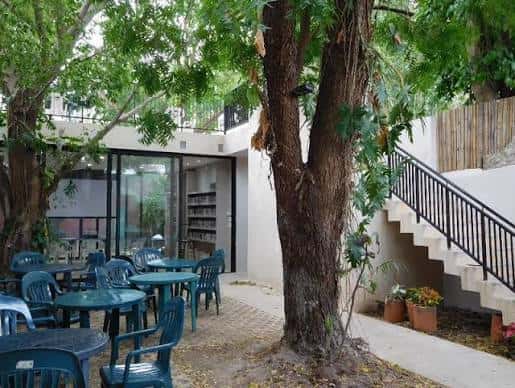 Patio exterior de la biblioteca con mesas y sillas bajo árboles