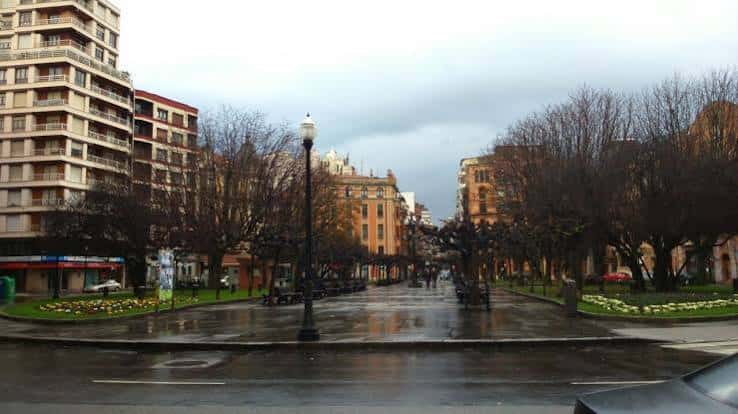 Paseo arbolado de la Plaza de San Miguel en día lluvioso, con reflejos en el suelo y bancos vacíos