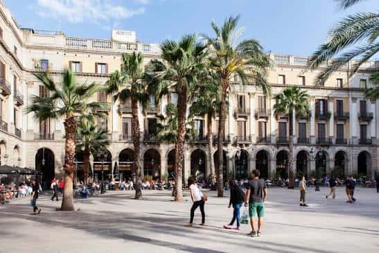 Vista panorámica diurna de la Plaza Real con palmeras y arquitectura neoclásica