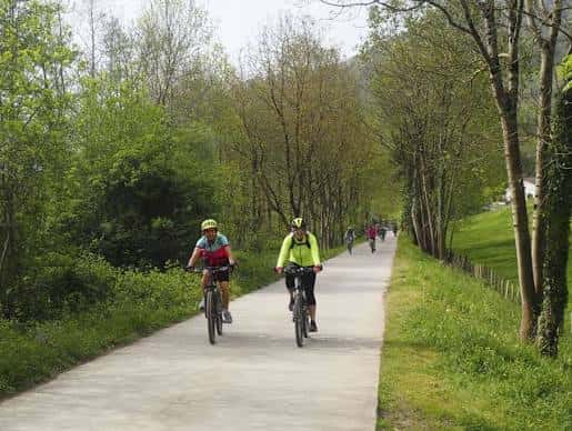 Sendero arbolado de la Vía Verde del Bidasoa con ciclistas en movimiento