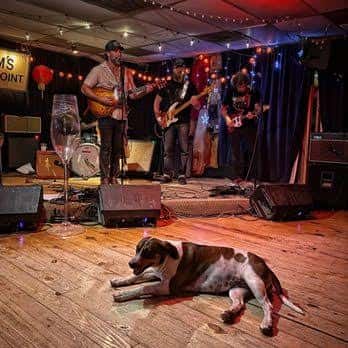 Banda en vivo actuando en el escenario del Sam's Town Point con un perro descansando en primer plano