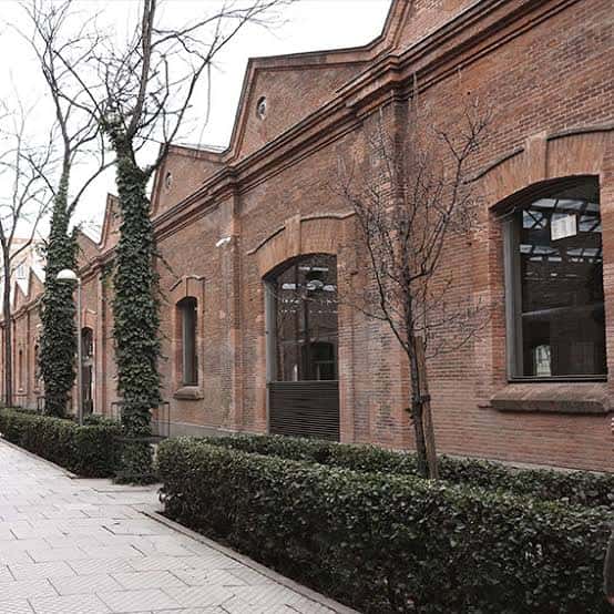 Fachada lateral del teatro con muros de ladrillo, ventanas arqueadas y vegetación trepadora