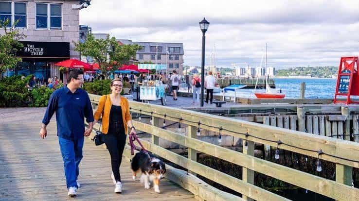 Pareja paseando a su perro por el muelle con el mar de fondo