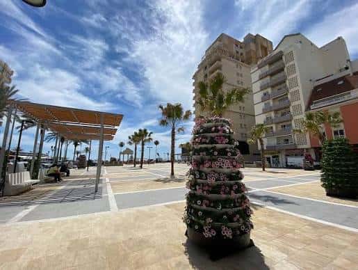 Plaza Pedro Cuevas con decoración floral y estructura de sombra