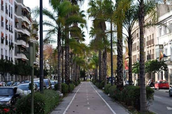 Vista de la Avenida Alcalde Álvaro Domecq con palmeras y carril bici