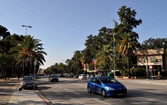 Avenida Alcalde Álvaro Domecq con tráfico y vegetación