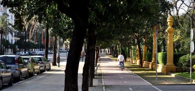 Paseo arbolado en la Avenida Alcalde Álvaro Domecq con ciclista